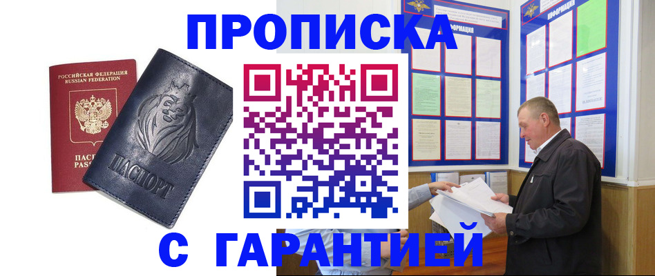 прописка поиск в Камчатской области